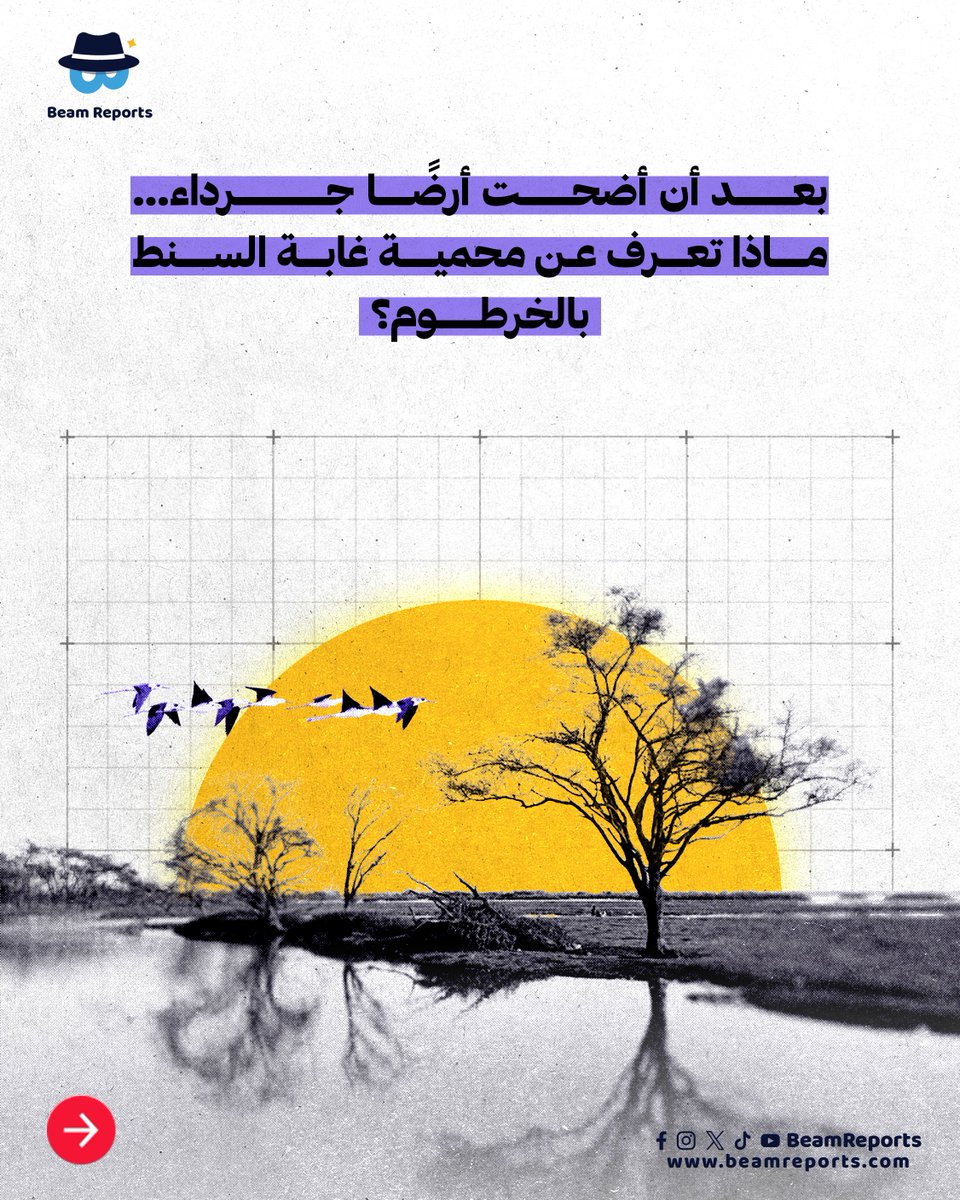 Beam Reports tweet media