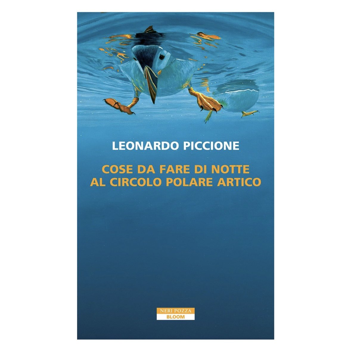 Leonardo Piccione tweet media