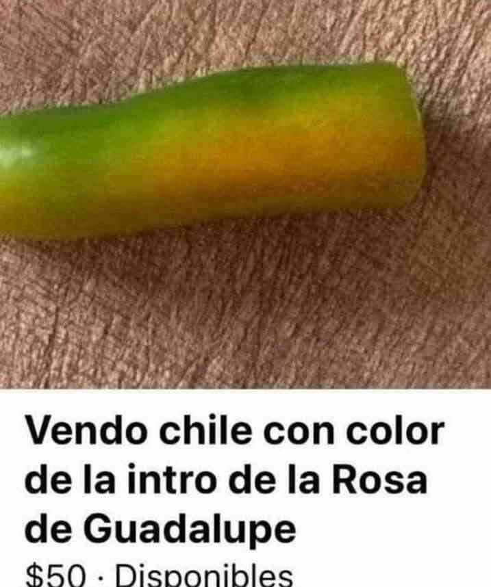 🇲🇽 México Mágico ✨ tweet media