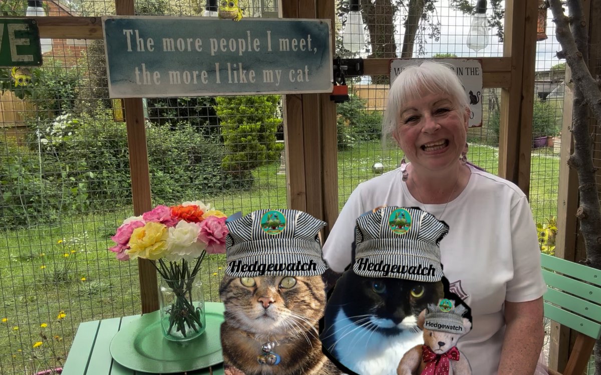 Olly the Cat, Monarch of The Moglets. RIP Maximus. tweet media