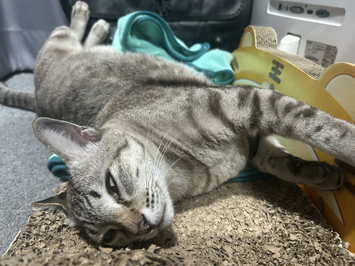 ドキドキだね〜ワクワクだね tweet media