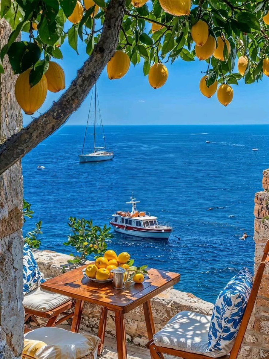 The Nature tweet media