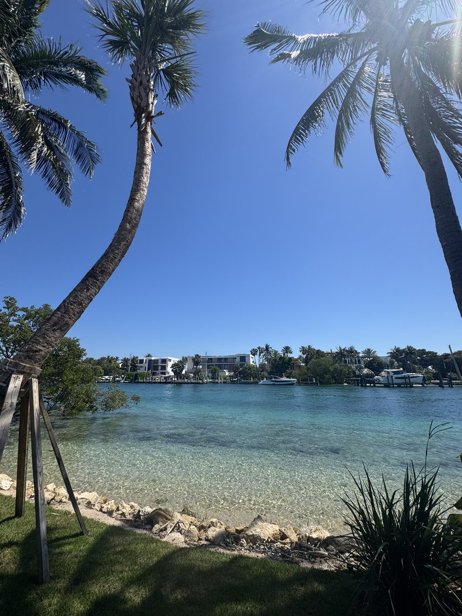 JoeRobbie tweet media