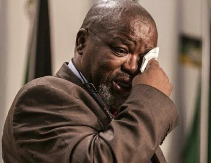 ketlareng Mara tweet media