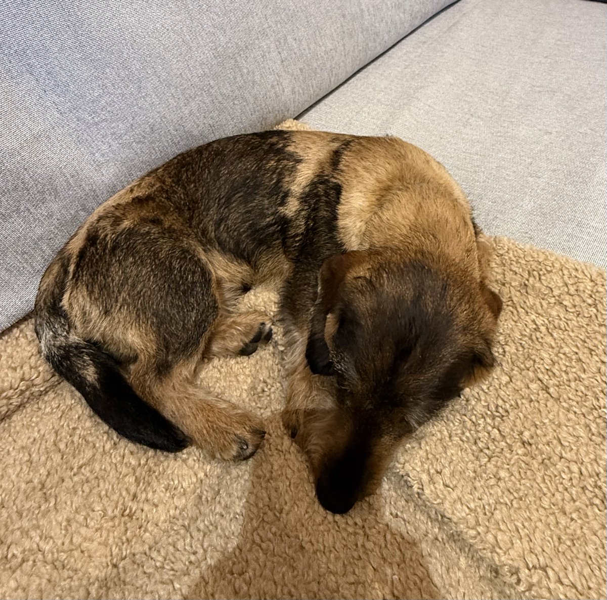 Mª Antonia Rentero Flor tweet media