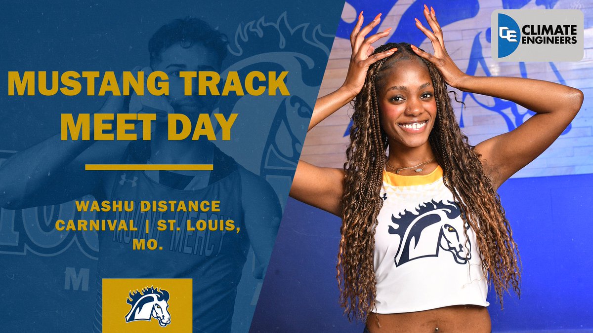 Mount Mercy Mustangs tweet media