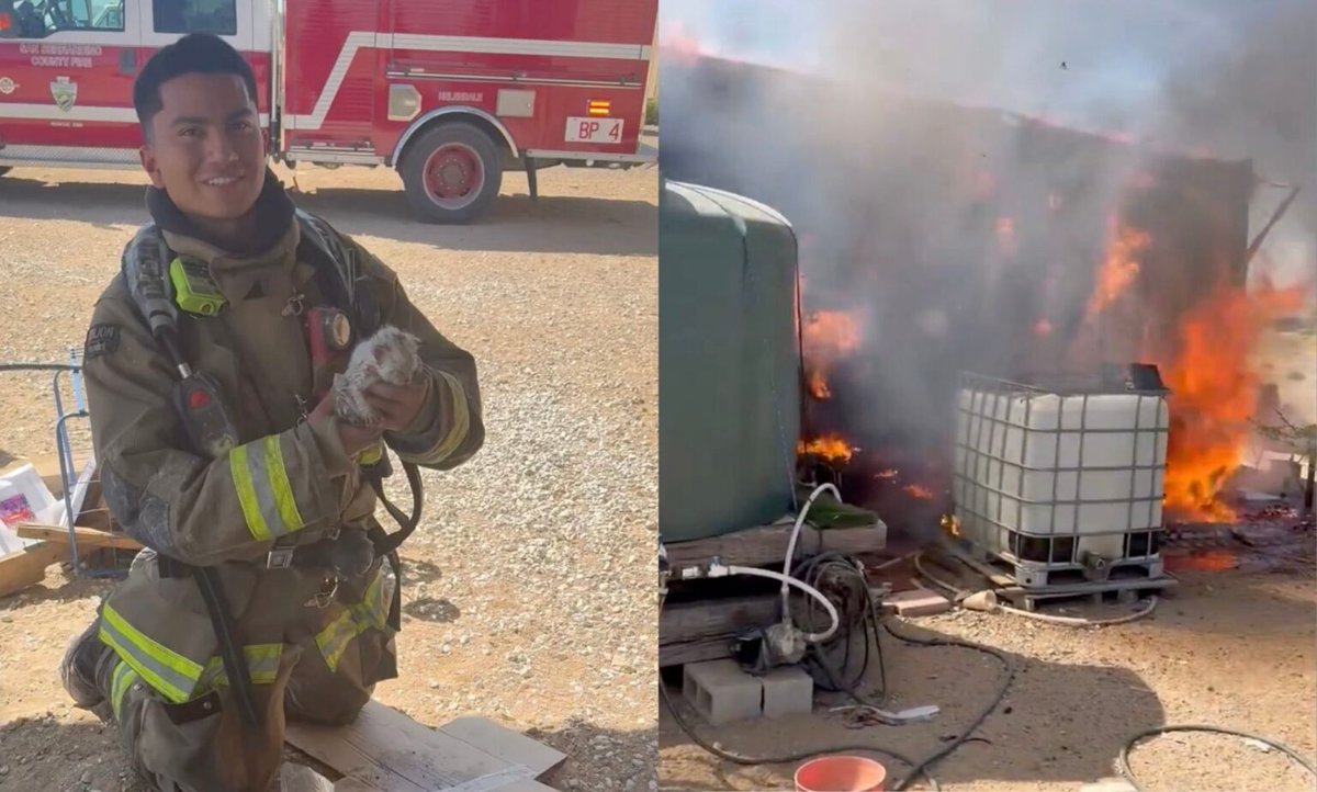 Victor Valley News Group VVNG.com tweet media