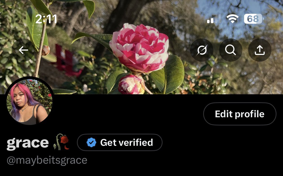grace 🥀 tweet media
