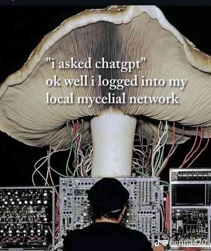 ShitpostGateway tweet media