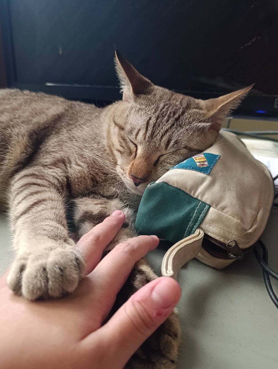 Verya Yandervose🥀👁 tweet media