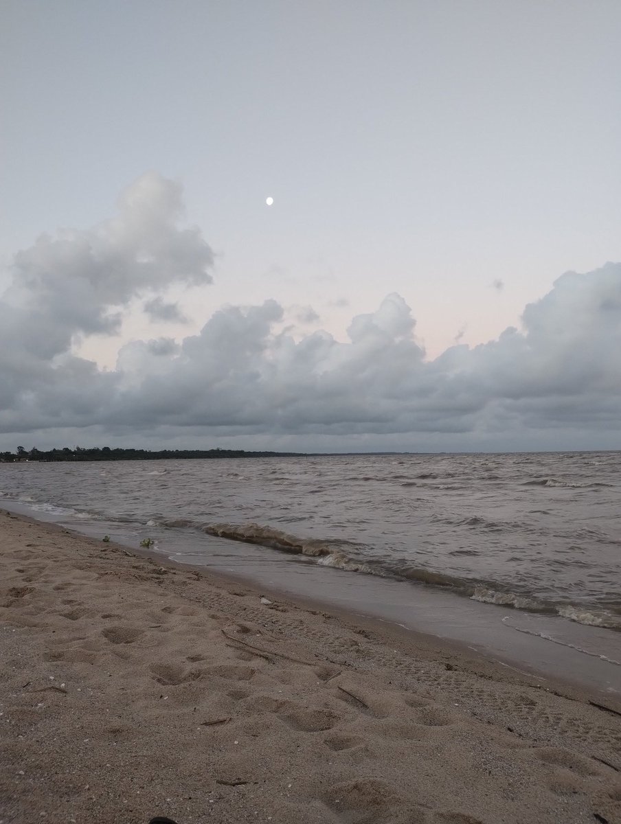 Rasmus7th tweet media