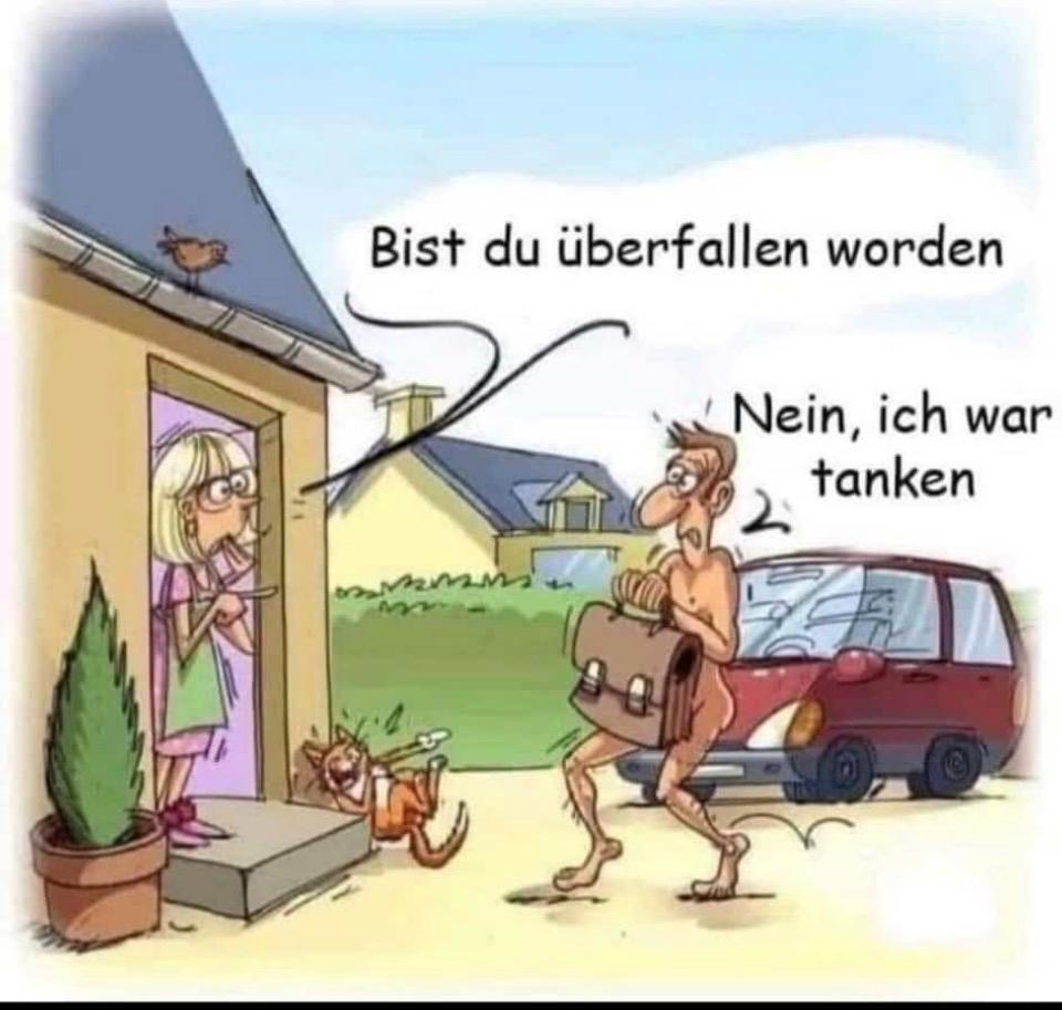 Mary litter picker 🇦🇹🐌🐿️🐸🐗🦊🐍🦇🐖🐎🐄🐑🐐🐂 tweet media