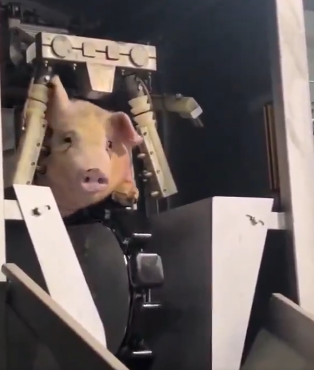 DJ Quick tweet media