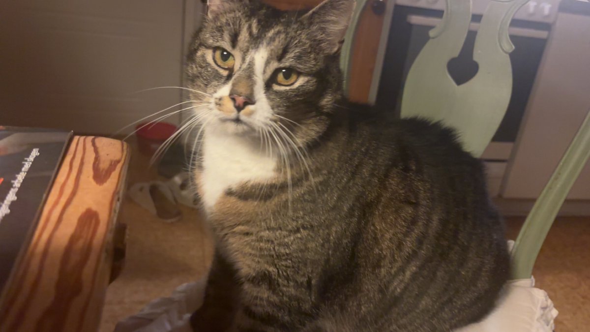 The Biohacker🥛🌞 tweet media