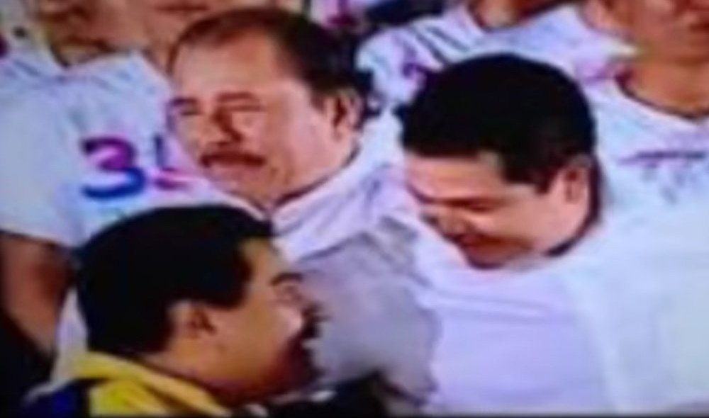 EL TOAD LIBERAL (🇦🇹🇭🇳) tweet media