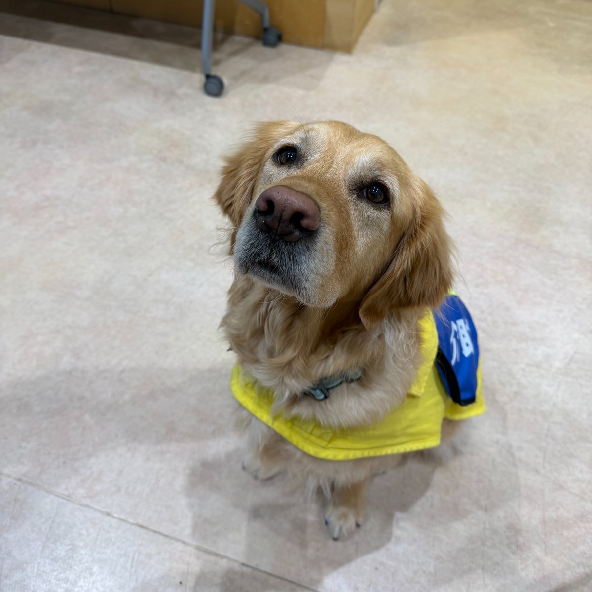 MSP株式会社 tweet media