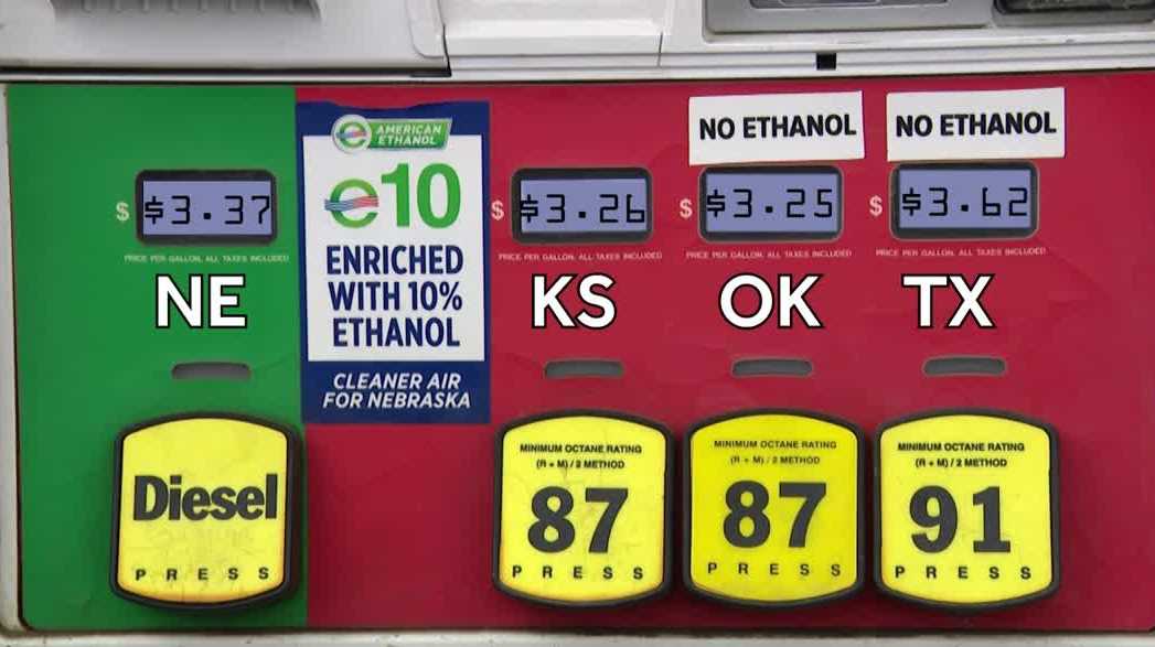 Blayne Behrends tweet media