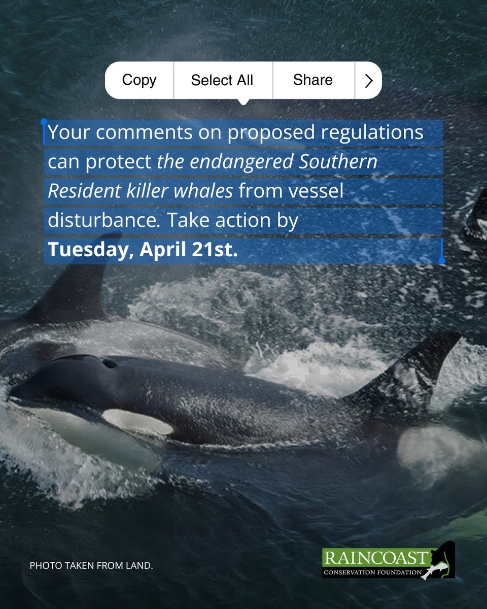 Raincoast Conservation Foundation tweet media