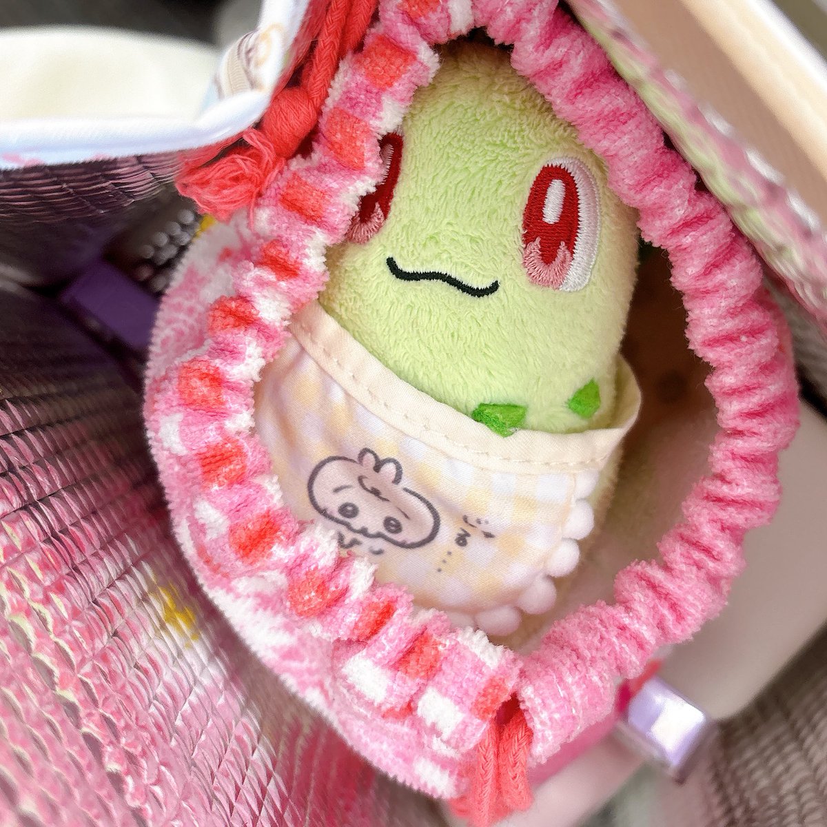 🌱🍓 tweet media