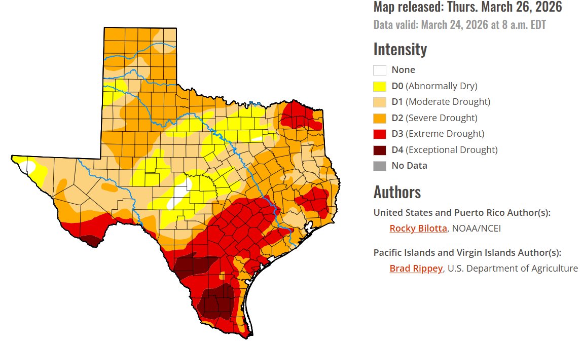 Dear Brumus tweet media