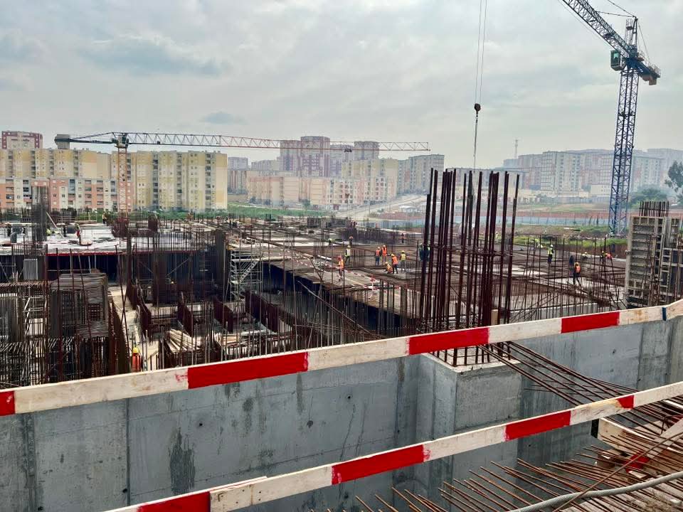 Wiicoin™ 🇩🇿 tweet media