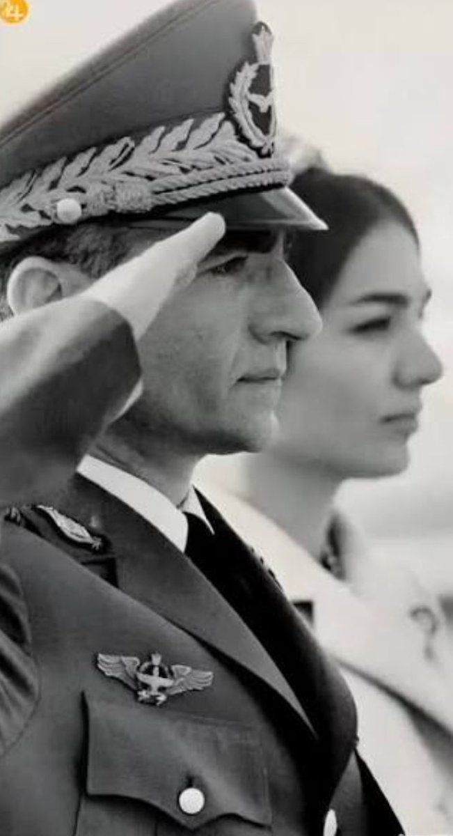 Siavash Ardalan tweet media