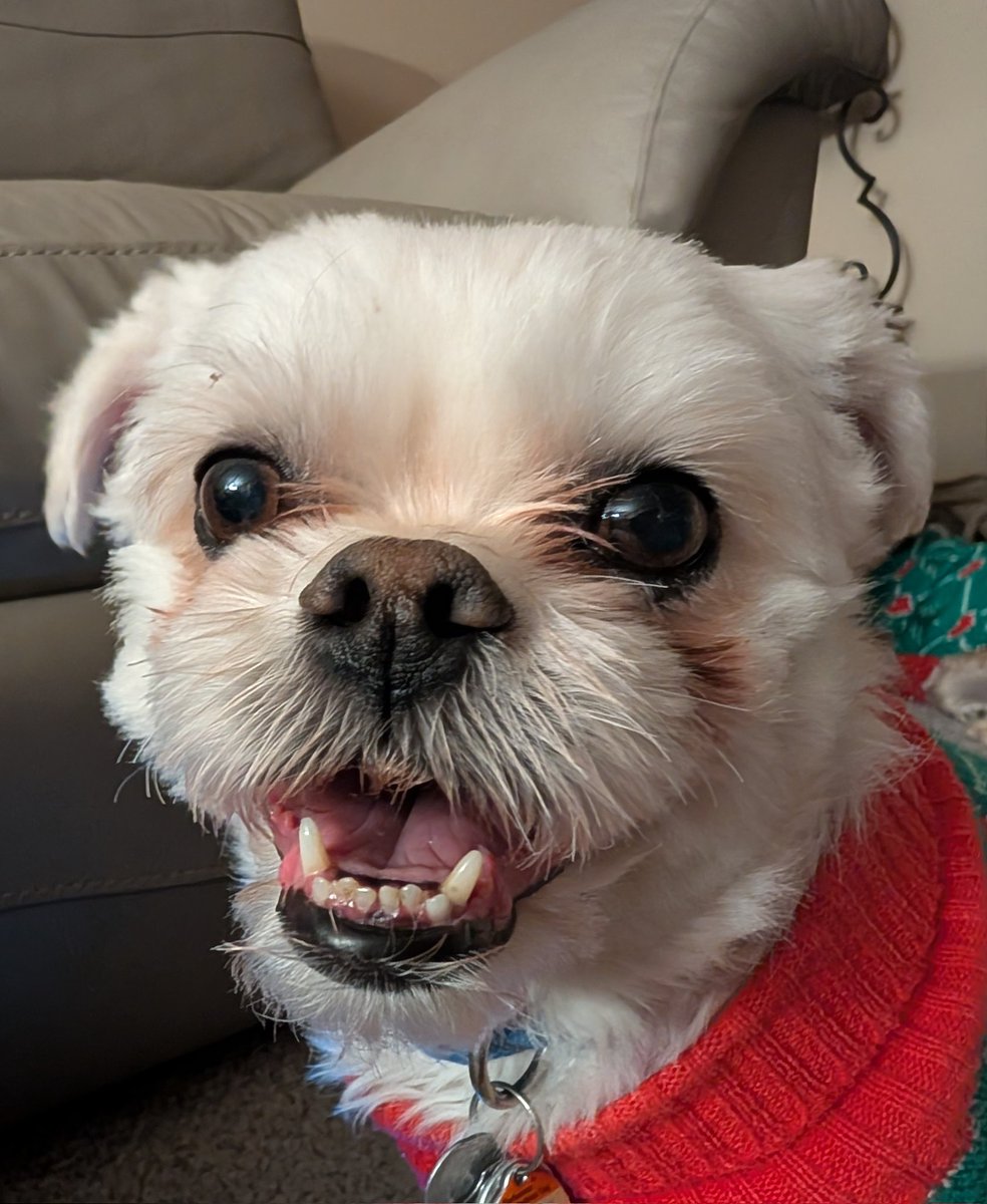 Aaron💫 tweet media