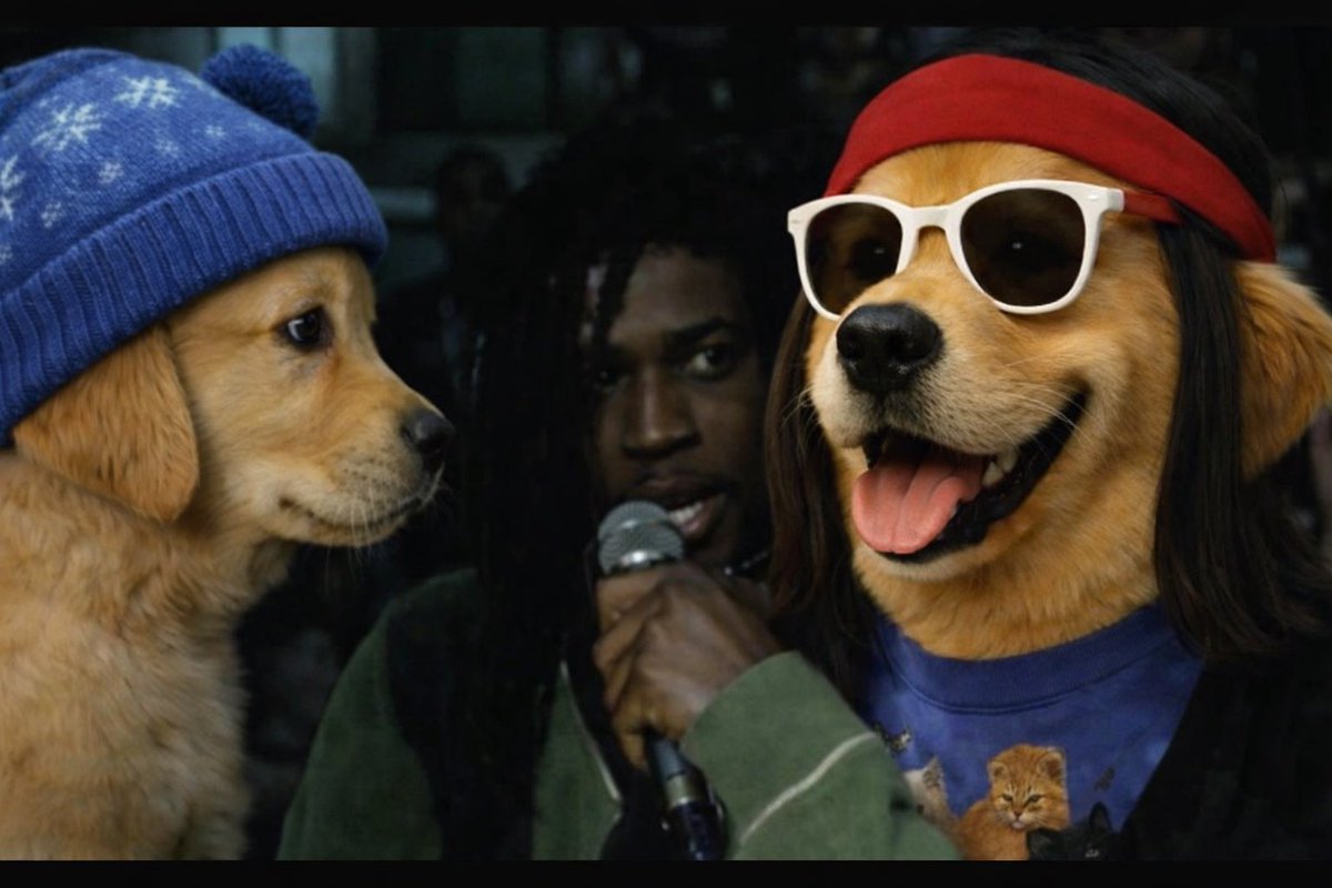 TheRealBarkingPuppy tweet media