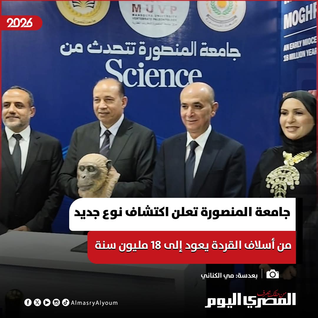 𝑴𝒂𝒏𝒂𝒓║ᴳʳᵉᵉⁿ💚ᴴᵉᵃʳᵗ tweet media