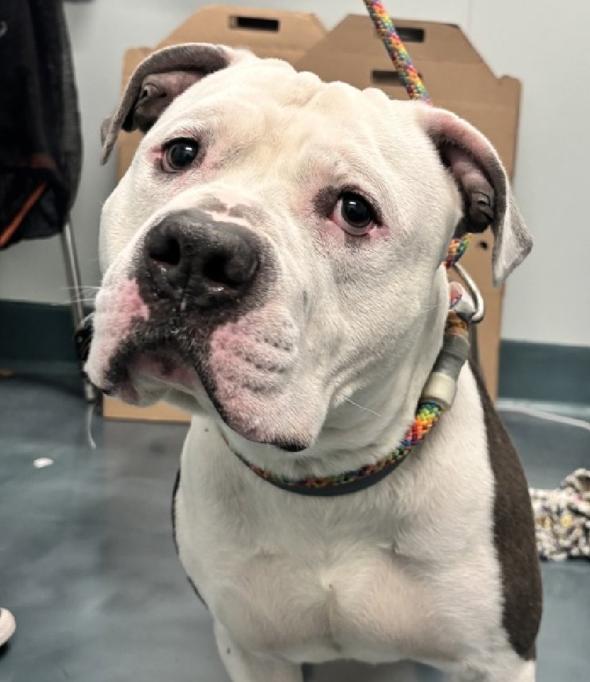 Not the Same tweet media