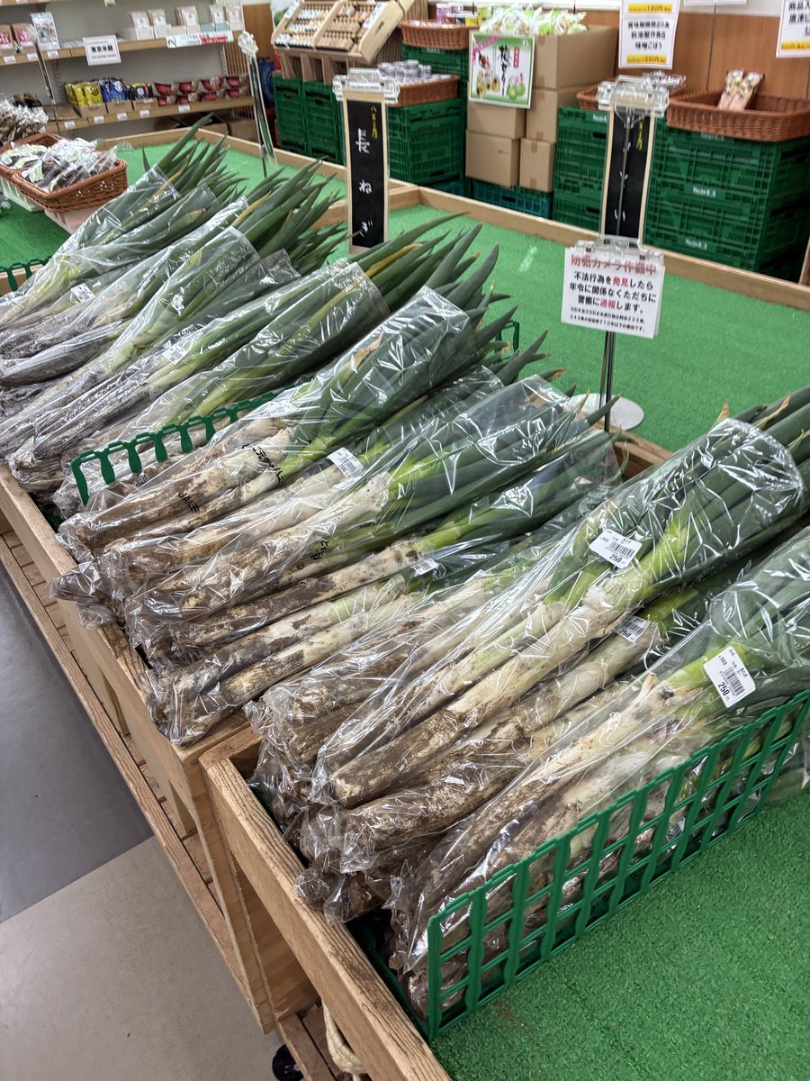 オーダーメイド品　一枚板　　10月28日までに売れなければ処分 KIDOMEIMOKU 欅一枚板ダイニングテーブル｜200cm(6人掛け) – 【公式