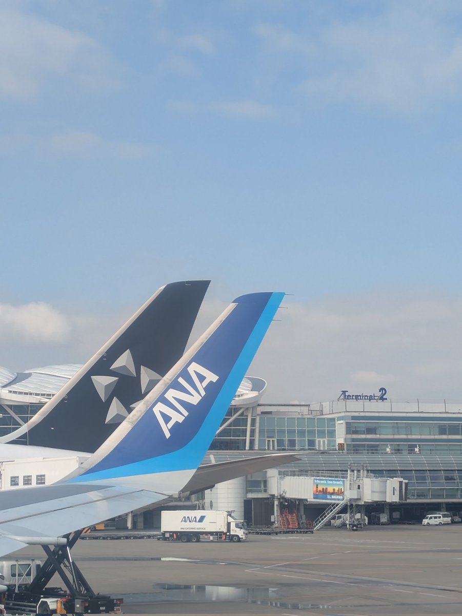 くらげ tweet media