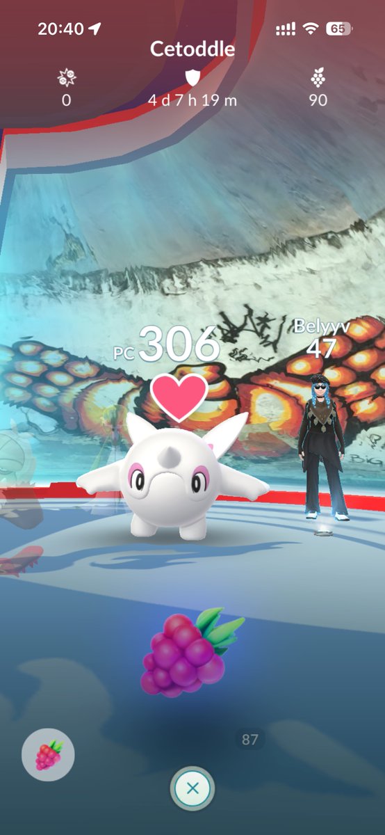 mamãe paquita tweet media