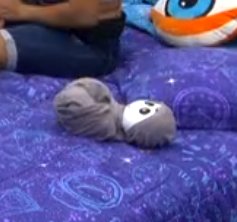 j̶ ̶u̶ ̶l̶ ̶i̶ ̶a̶ = tweet media