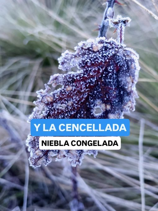 territorioRD's tweet photo. -2ºC en Valle Nue vo @BautaRojas @DrJDJimenezB @DiarioLibre @ElNacionalRD @icoabreu @JoseMonegro @KatherineCocco @leonriveraalva1
@loxiglia @elnuevodiario @opiniondiaria_
@PankyCorcino @pedrogenaro @nuriapiera
@SIN24Horas @sergiocarlo @z101digital https://t.co/KuvMzZtyA1