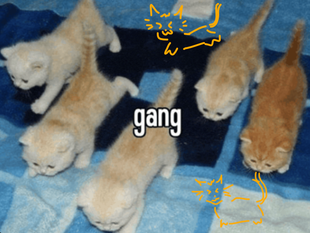 Ashlyn ⪩ ⪨ tweet media