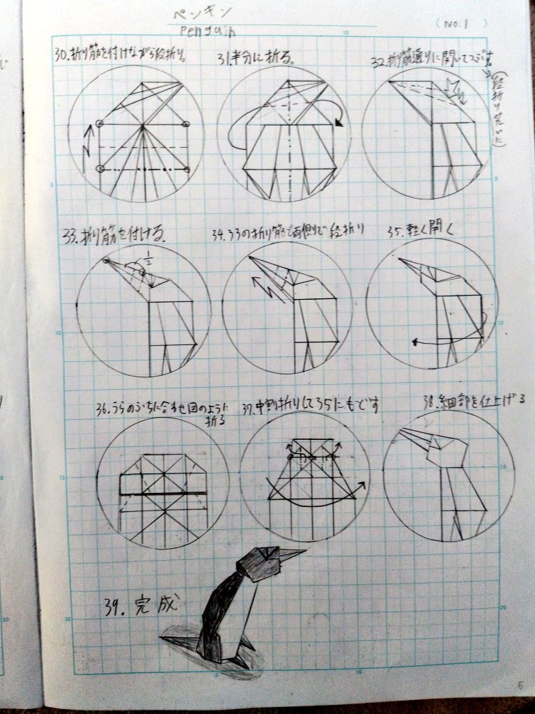 折り紙大好き中学生りゅーせー tweet media
