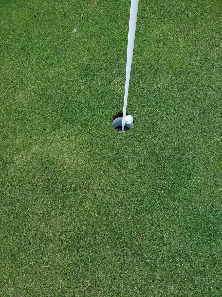 BirdieKingBobo tweet media