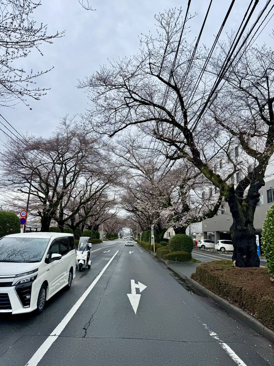 オチョメ tweet media