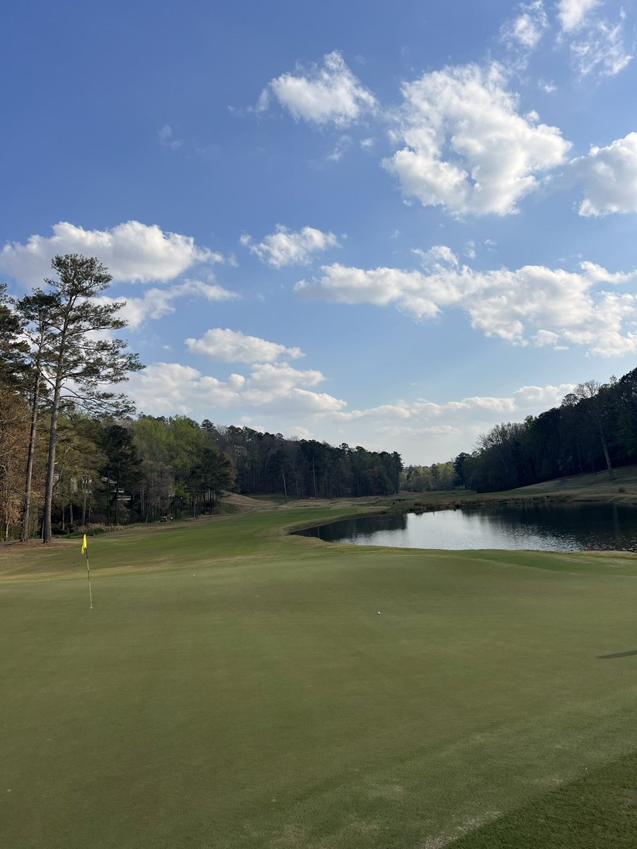 Snobby Scheffler tweet media