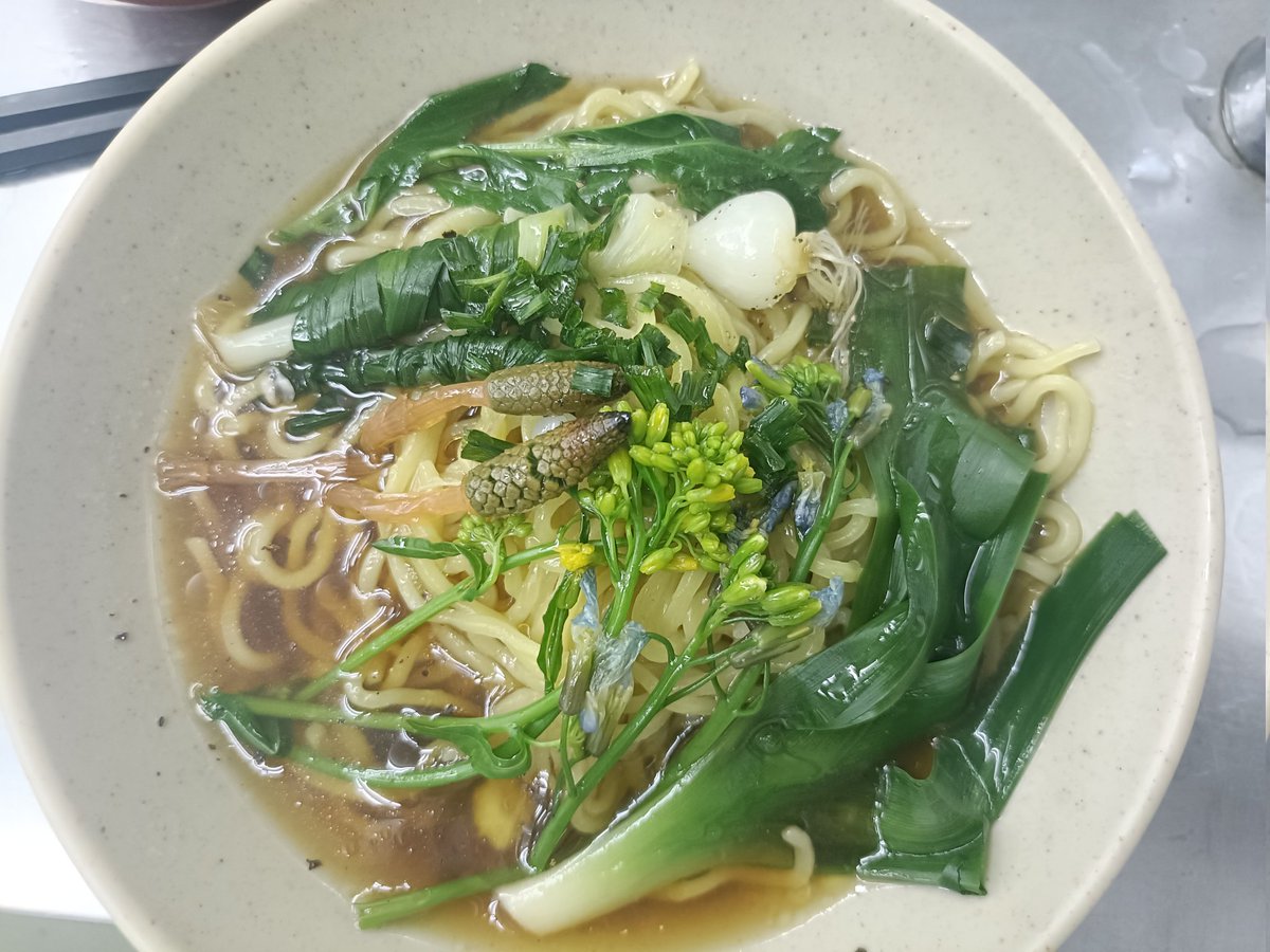 のん🍀365日野草生活®️ tweet media