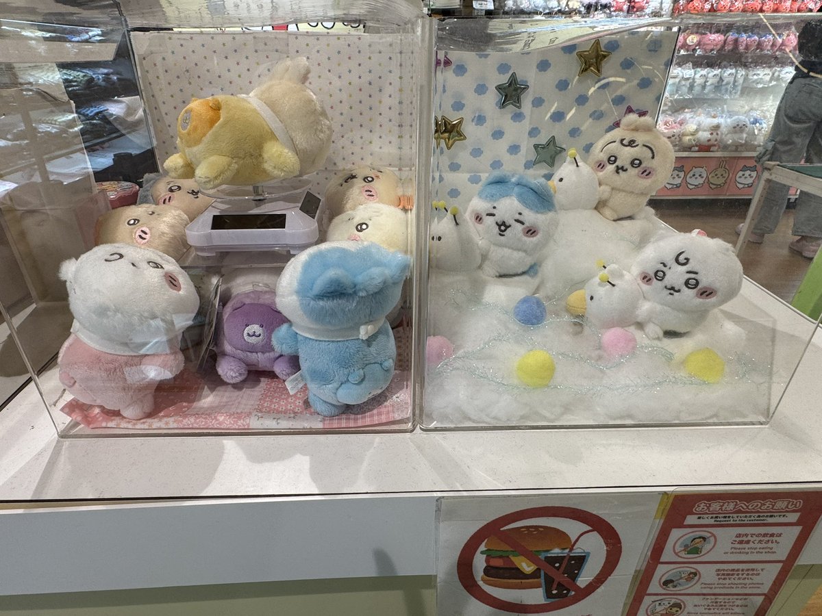 ちぃばぁ･:*+.\(( °ω° ))/.:+ tweet media