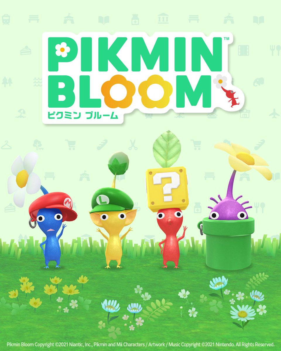 Pikmin Bloom Japan │ ピクミンブルーム tweet media