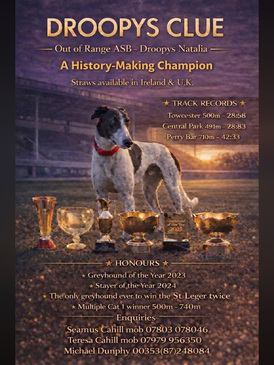 Greyhound Stud Book tweet media