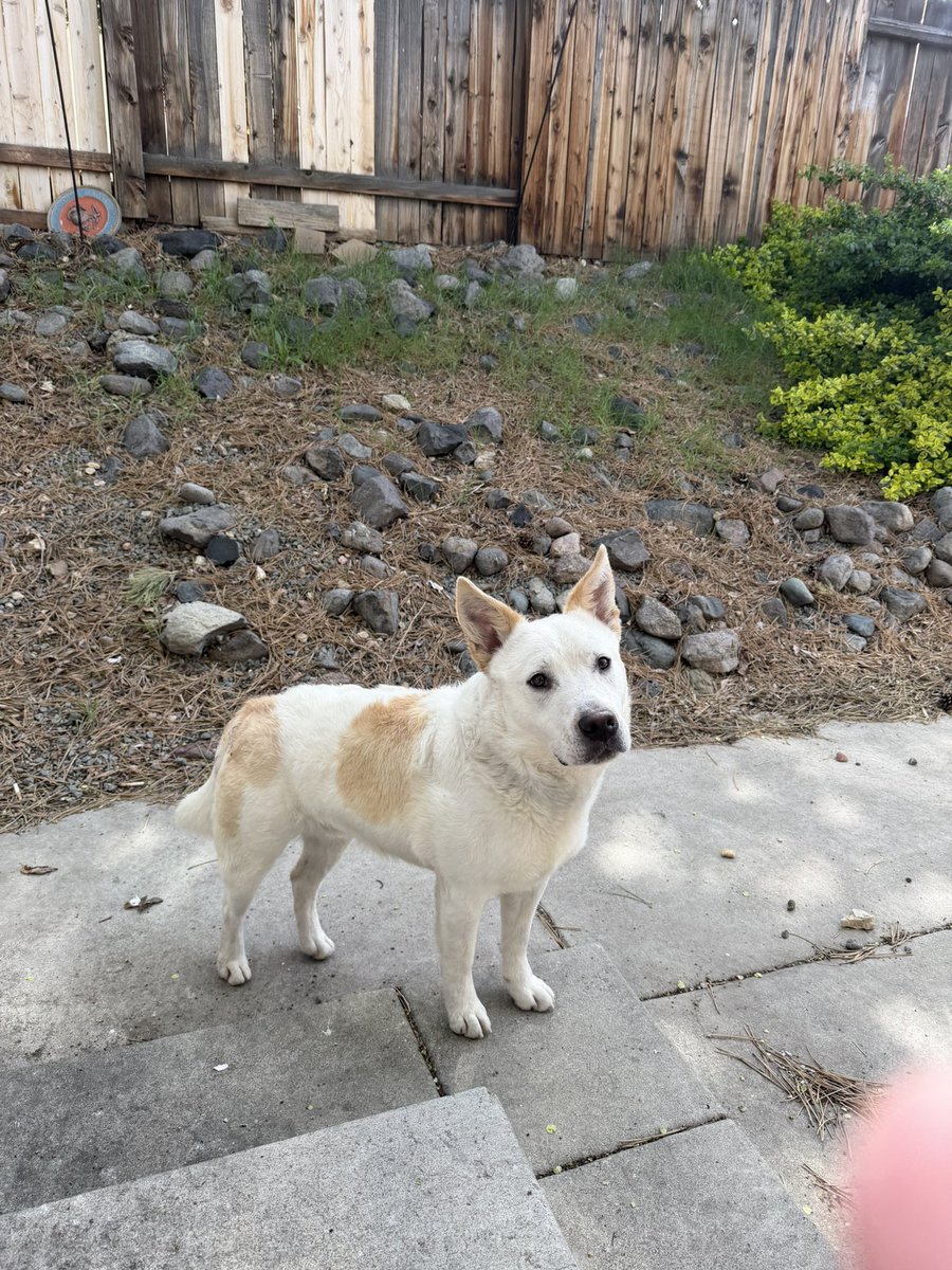 Georgia Mathers ☮️ tweet media