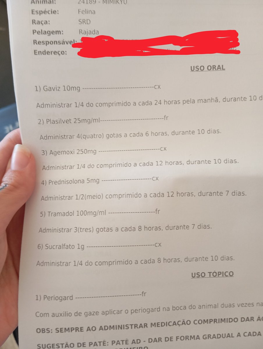 uma vírgula, Esposa do Murilo tweet media