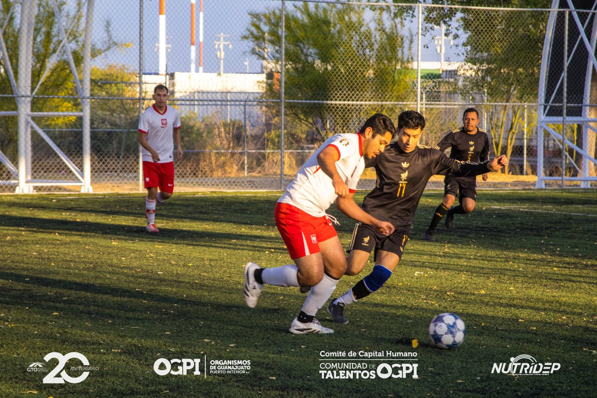Organismos de Guanajuato Puerto Interior A.C. tweet media