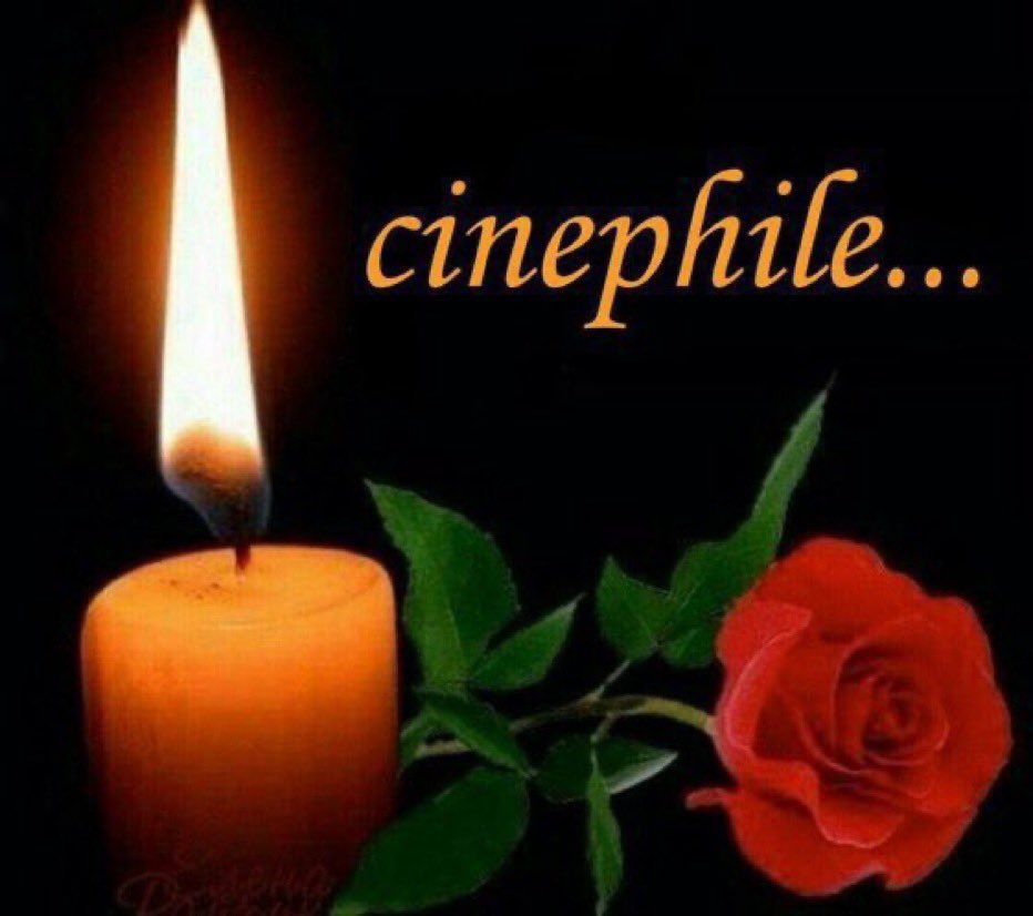 max 🍰 tweet media