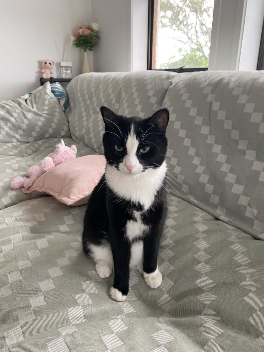 “世界原是极大的战场，充满了各种不同的战争。人们都是战士：有的为功名争战，有的为金钱争战，有的为生计争战，有的为美色争战，有的为主义争战，有的为幸福争战。～《荒漠甘泉》。请问你为什么而战？