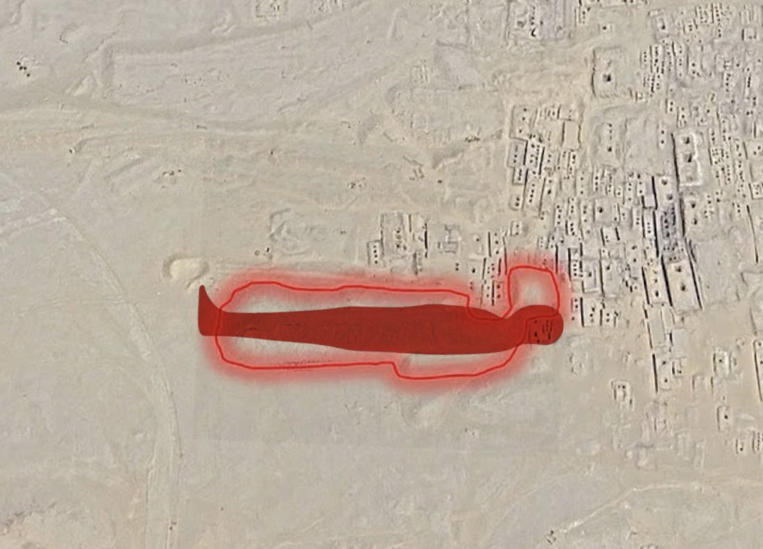 القط الاسود tweet media